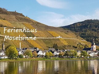 Blick vom gegenüberliegenden Ufer auf Zell