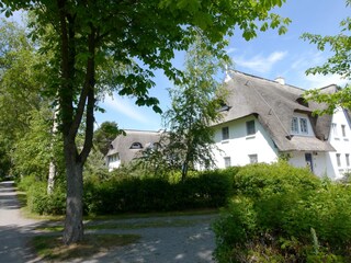 Für die Region typische Reetdachhäuser