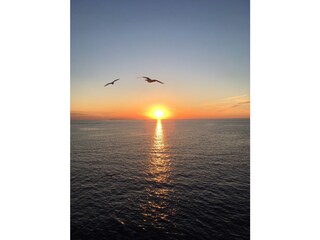 Appartamento per vacanze Capoliveri Registrazione all'aperto 12