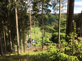 Holiday house Bad Berleburg Outdoor Recording 3