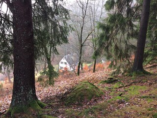 Holiday house Bad Berleburg Outdoor Recording 4