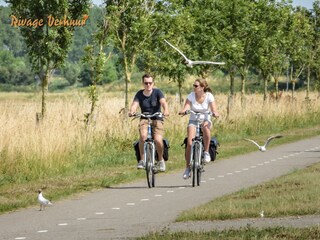 Casa de vacaciones Nieuwvliet Entorno 27