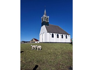 Dorf Oudeschild