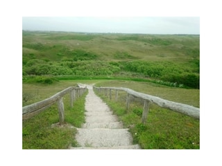 Natuurpark De Slufter