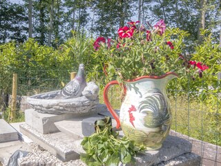 Bungalow Den Burg Registrazione all'aperto 5