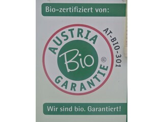 Casa per le vacanze Aigen im Ennstal Documento 23