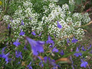 Bungaló Boiensdorf Grabación al aire libre 1