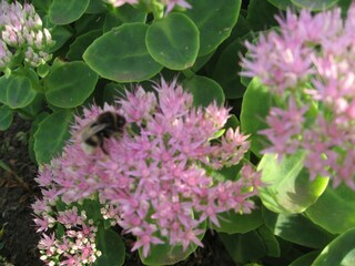 Bungalow Boiensdorf  38