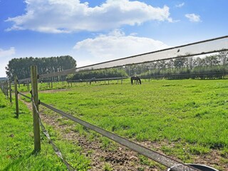 Vakantiehuis Aerdt Omgeving 36