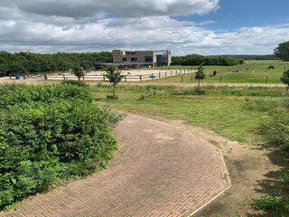 Casa per le vacanze Aerdt Ambiente 36