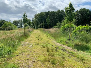 Vakantiehuis Aerdt Omgeving 35