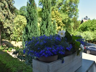 Apartamento Blankenburg Grabación al aire libre 8