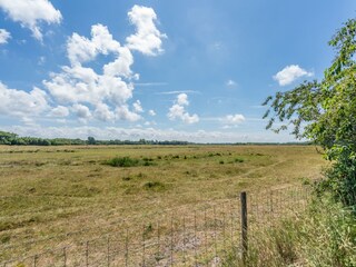 Casa per le vacanze Renesse Registrazione all'aperto 7