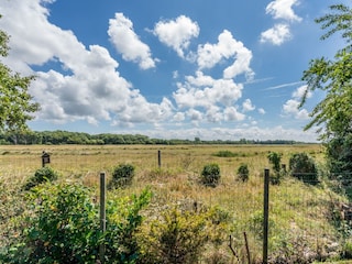 Casa per le vacanze Renesse Registrazione all'aperto 8