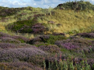 Appartamento per vacanze De Koog Ambiente 13