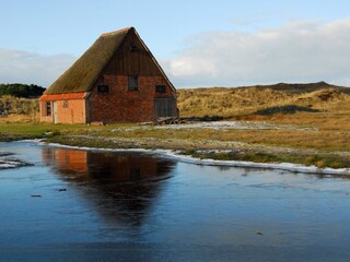 Appartamento per vacanze De Koog Ambiente 15