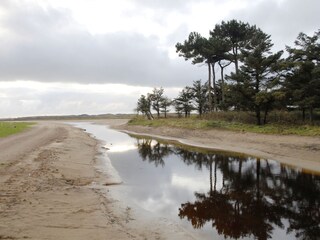 Appartamento per vacanze De Koog Ambiente 12