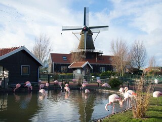 Bungalow Dirkshorn Ambiente 19