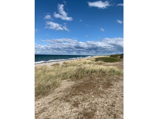 Platz am ruhigen Strandabschnitt