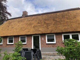 Blick aus dem Garten auf die Terrasse