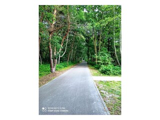 Ferienhaus Grzybowo Außenaufnahme 7