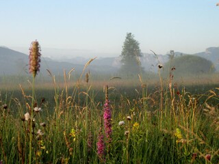 Appartamento per vacanze Oberhofen (Irrsee) Ambiente 26