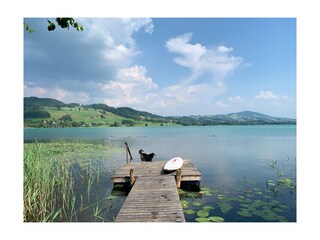 Appartamento per vacanze Oberhofen (Irrsee) Registrazione all'aperto 8