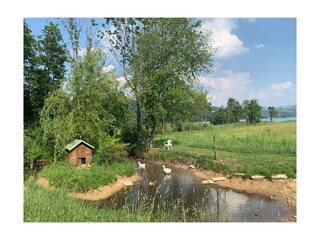 Appartamento per vacanze Oberhofen (Irrsee) Ambiente 22