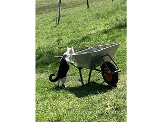 Appartamento per vacanze Oberhofen (Irrsee) Registrazione all'aperto 17