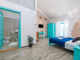 Villa Vodnjan Caratteristiche 37