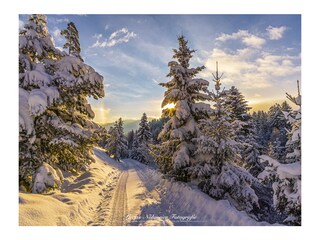 Appartamento per vacanze Garmisch-Partenkirchen Ambiente 27