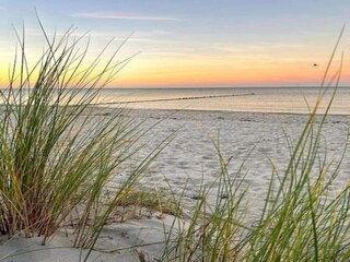 Bungaló Weitendorf Entorno 39