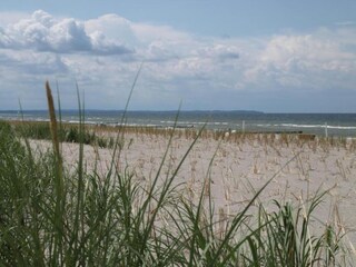 Bungalow Weitendorf Environnement 21