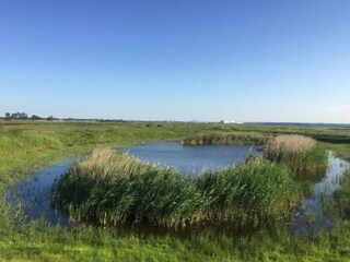 Bungalow Weitendorf Environnement 16