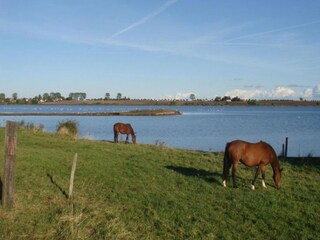Bungalow Weitendorf Environnement 19