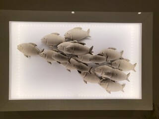 Appartamento per vacanze St. Peter-Ording Registrazione all'aperto 6