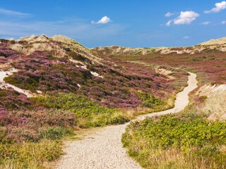 Appartamento per vacanze Kampen Ambiente 23