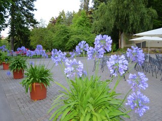 Ferienhaus Frankenau Umgebung 29