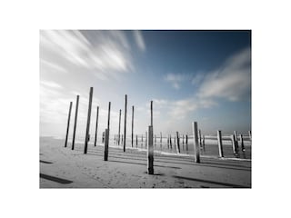 Ferienhaus Petten Umgebung 13