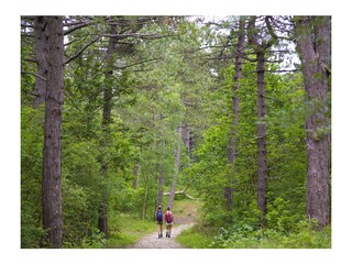 Chalet Noordwijk Ambiente 19