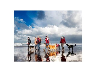 Chalet Noordwijk Ambiente 14