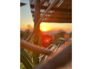 Holiday house Castellina Marittima Outdoor Recording 6