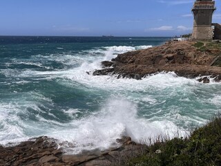 Holiday house Castellina Marittima Environment 29