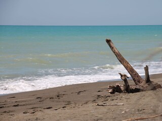 Casa per le vacanze Castellina Marittima Ambiente 23