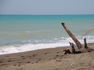 Holiday house Castellina Marittima Environment 23