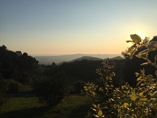 Casa per le vacanze Castellina Marittima Ambiente 24