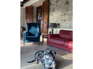 Vakantiehuis Castellina Marittima Kenmerken 14