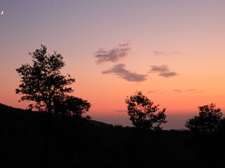 Holiday house Castellina Marittima Environment 28