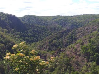 Blick von der Roßtrappe