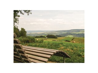 Ferienhaus Thalfang Umgebung 16